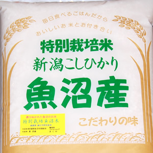 特別栽培：魚沼こしひかり